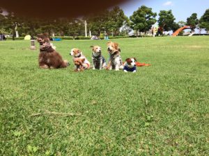 今日は、暑いです