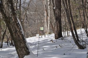 分岐点の案内板
