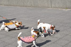 今度は、渡さないよ！