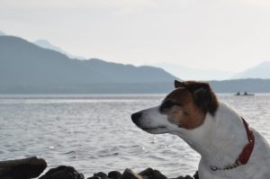 今日で帰るんだ．．．